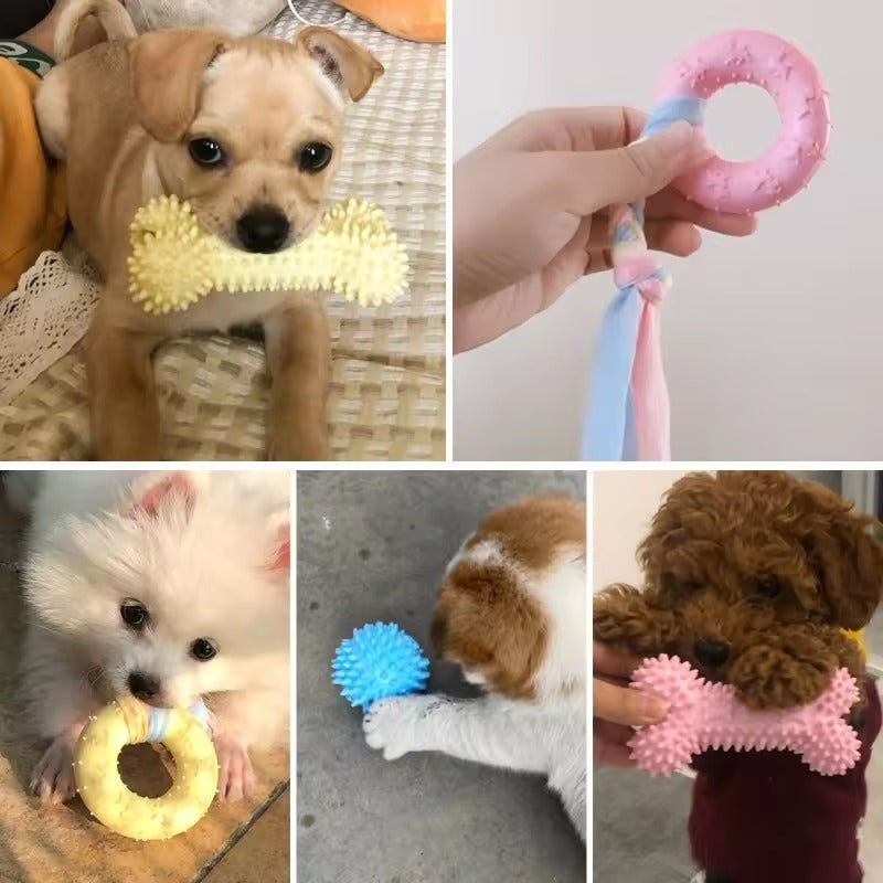 Jouet pour chien à macher